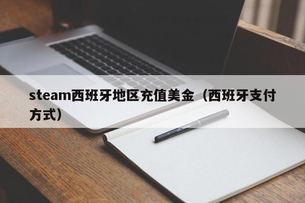 steam西班牙地区充值美金（西班牙支付方式）