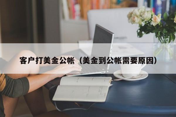 客户打美金公帐（美金到公帐需要原因）