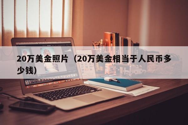 20万美金照片（20万美金相当于人民币多少钱）