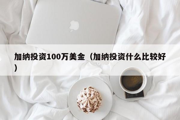 加纳投资100万美金（加纳投资什么比较好）