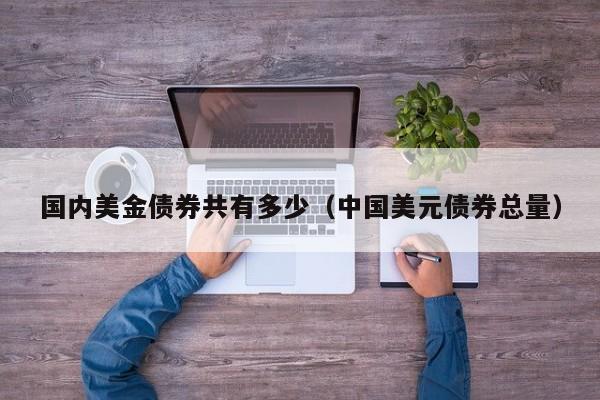 国内美金债券共有多少（中国美元债券总量）