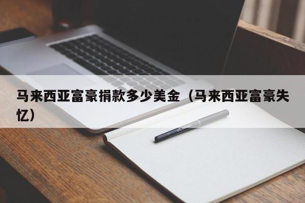 马来西亚富豪捐款多少美金（马来西亚富豪失忆）