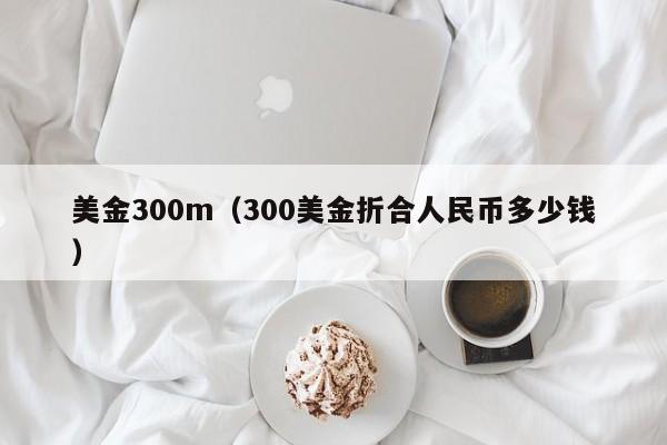 美金300m（300美金折合人民币多少钱）