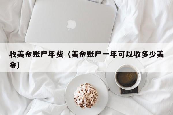 收美金账户年费（美金账户一年可以收多少美金）