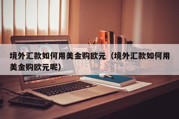 境外汇款如何用美金购欧元（境外汇款如何用美金购欧元呢）