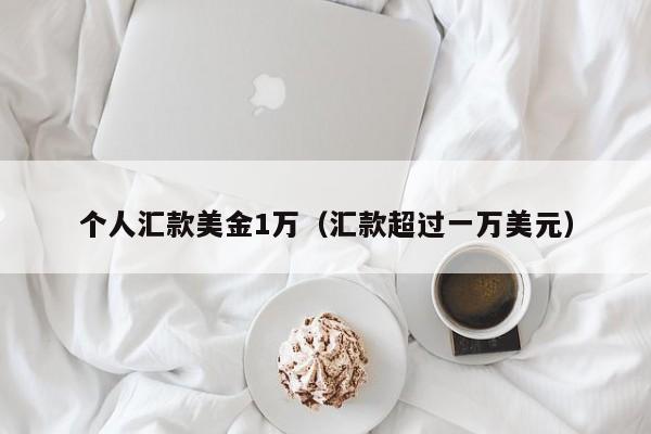 个人汇款美金1万（汇款超过一万美元）