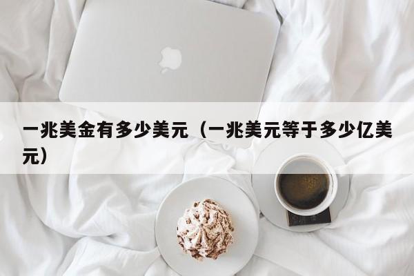 一兆美金有多少美元（一兆美元等于多少亿美元）