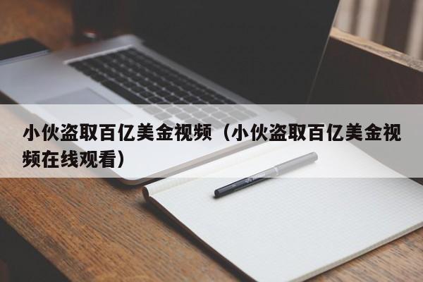 小伙盗取百亿美金视频（小伙盗取百亿美金视频在线观看）