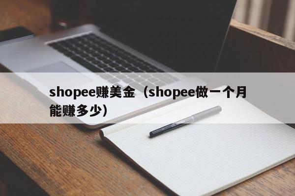 shopee赚美金（shopee做一个月能赚多少）