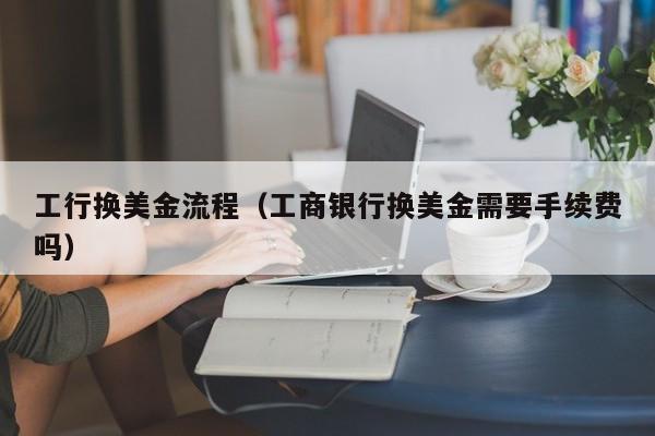 工行换美金流程（工商银行换美金需要手续费吗）