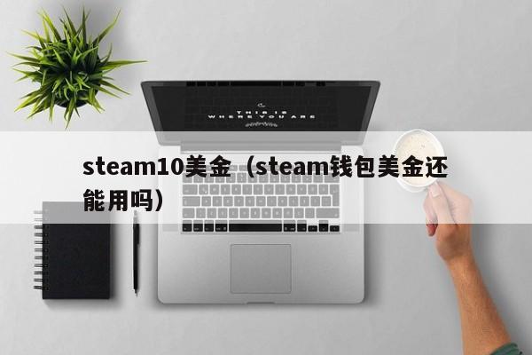 steam10美金（steam钱包美金还能用吗）