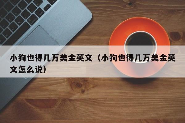 小狗也得几万美金英文（小狗也得几万美金英文怎么说）