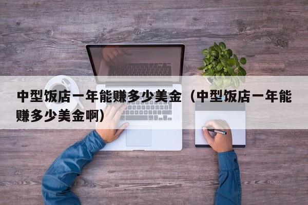 中型饭店一年能赚多少美金（中型饭店一年能赚多少美金啊）