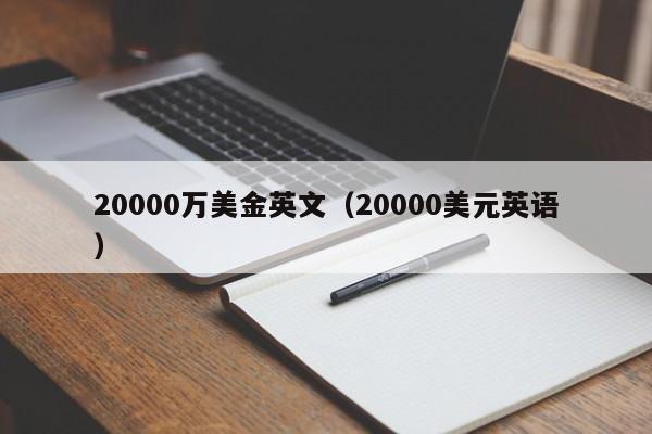 20000万美金英文（20000美元英语）