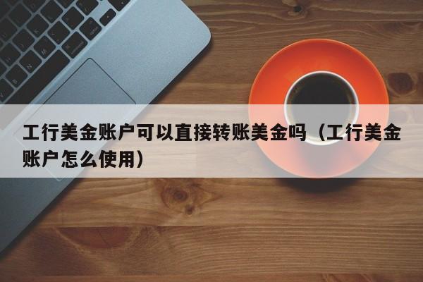 工行美金账户可以直接转账美金吗（工行美金账户怎么使用）