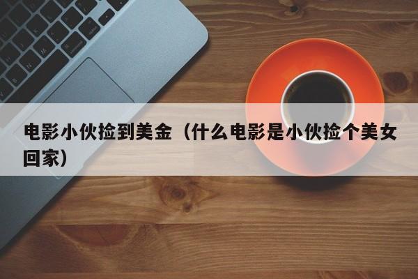 电影小伙捡到美金（什么电影是小伙捡个美女回家）