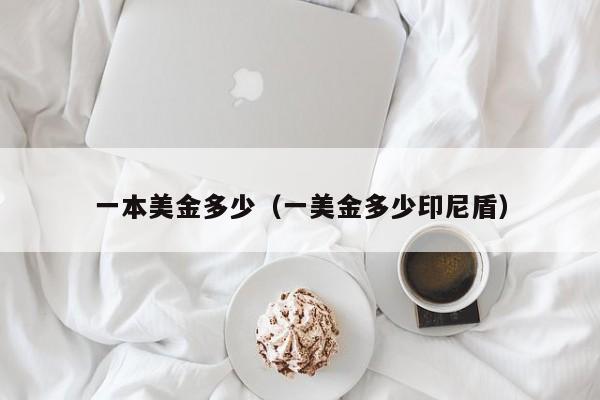 一本美金多少（一美金多少印尼盾）