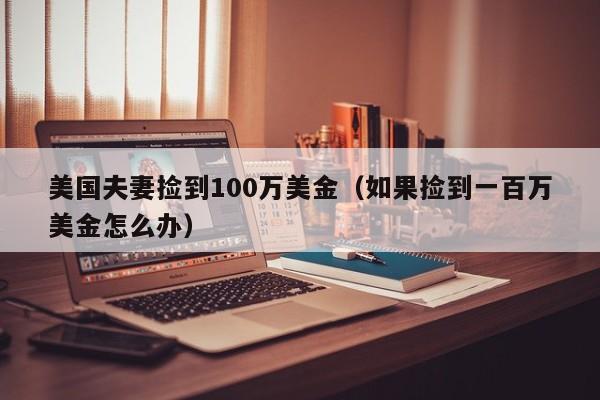 美国夫妻捡到100万美金（如果捡到一百万美金怎么办）