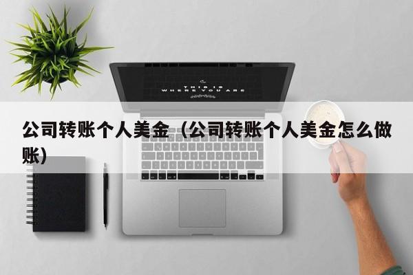 公司转账个人美金（公司转账个人美金怎么做账）