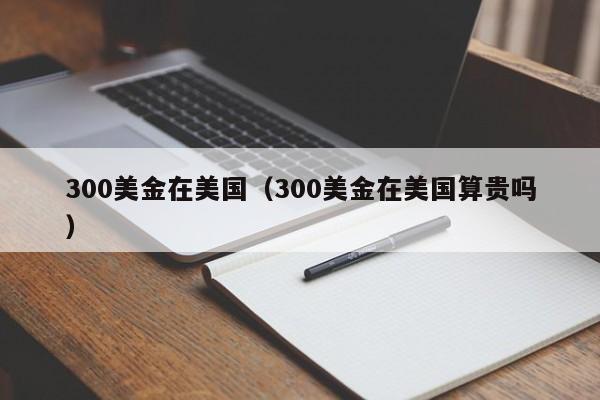 300美金在美国（300美金在美国算贵吗）