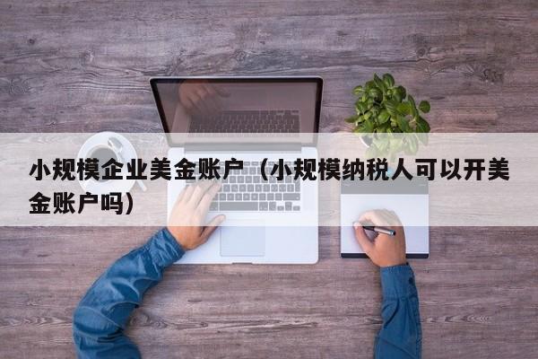 小规模企业美金账户（小规模纳税人可以开美金账户吗）