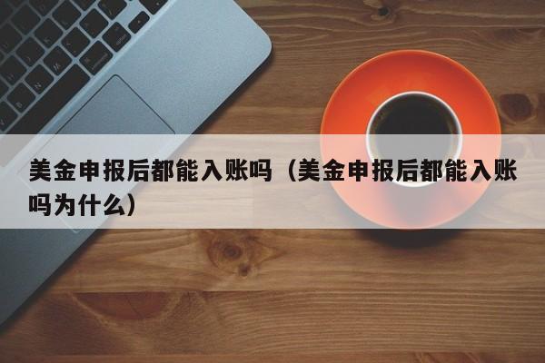 美金申报后都能入账吗（美金申报后都能入账吗为什么）