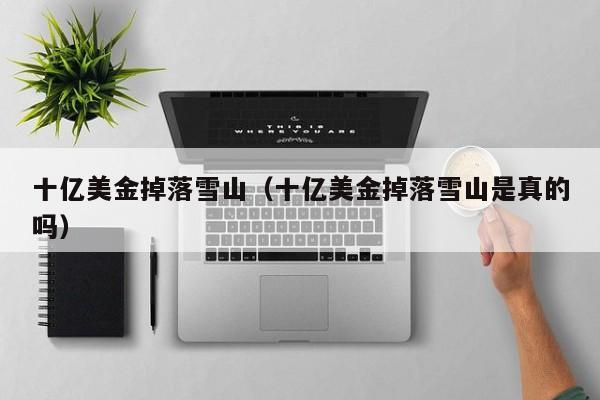 十亿美金掉落雪山（十亿美金掉落雪山是真的吗）