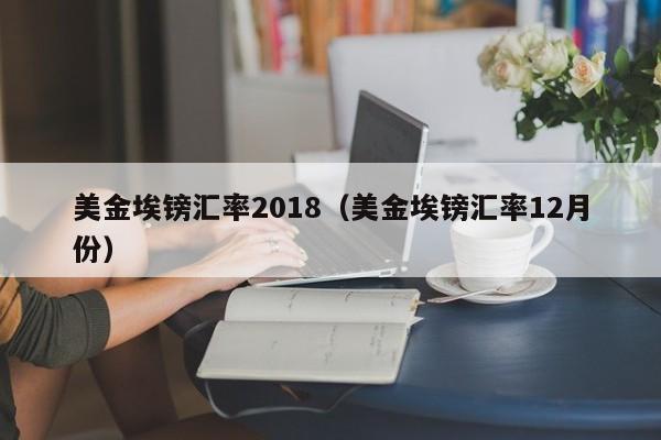 美金埃镑汇率2018（美金埃镑汇率12月份）