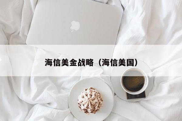 海信美金战略（海信美国）