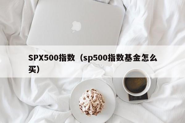 SPX500指数（sp500指数基金怎么买）