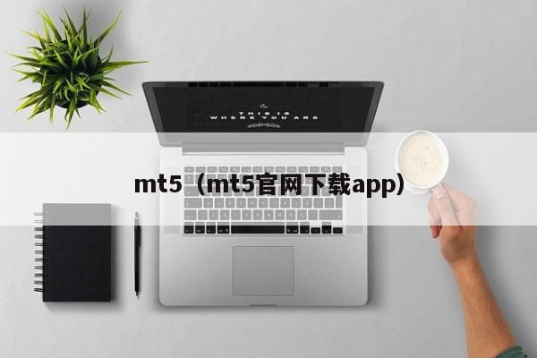 mt5（mt5官网下载app）