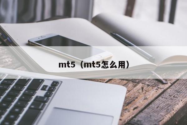 mt5（mt5怎么用）