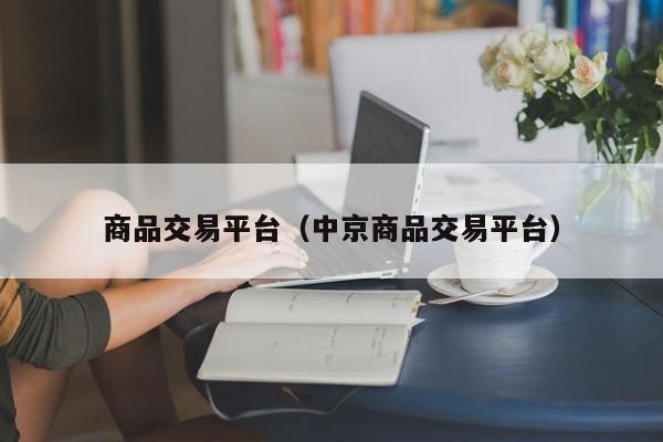 商品交易平台（中京商品交易平台）