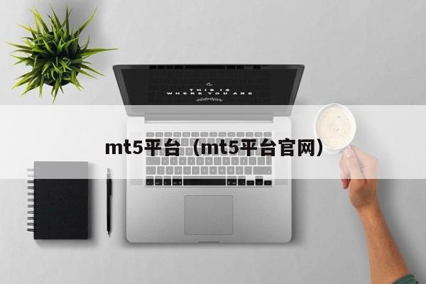 mt5平台（mt5平台官网）